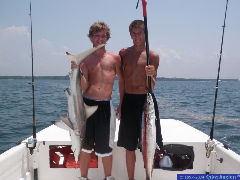 Click to Enlarge Photo