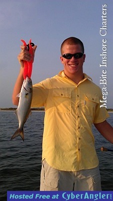 Blue Fish