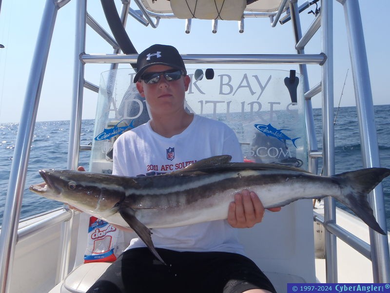 fish_0081