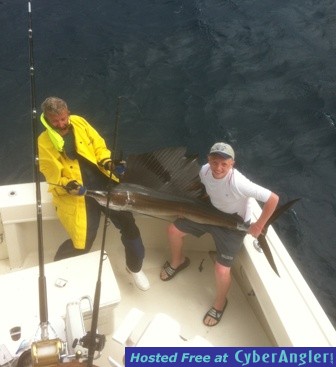 April_8_2012_sailfish_web