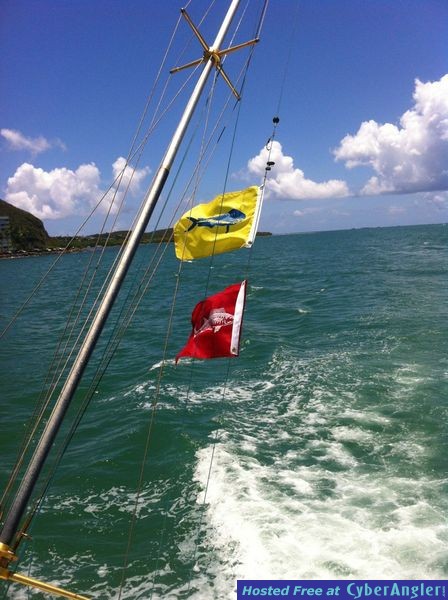 flags2