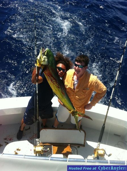 mahi#27