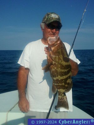 Nassau Grouper