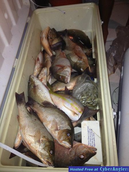 Limited out with big boys