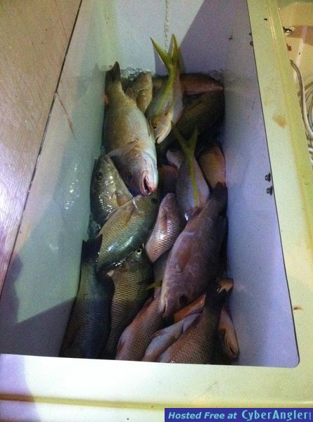 Another night's limit