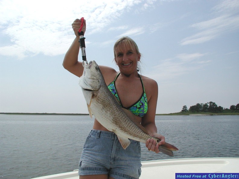 Nice Redfish