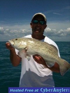 grouper31