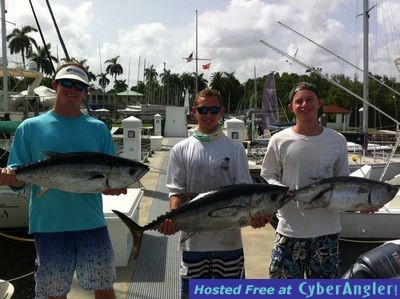 Nice Blackfin Tuna