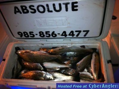 Click to Enlarge Photo