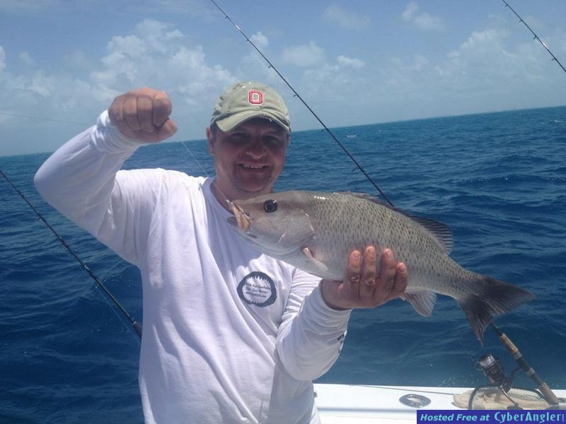 Mangrove Snapper Key Colony Beach Reef Charter