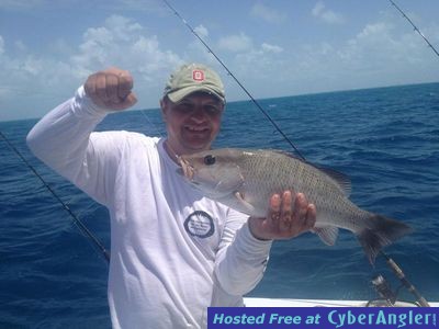 Mangrove Snapper Key Colony Beach Reef Charter