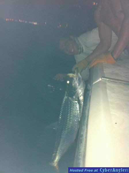 Government Cut Tarpon