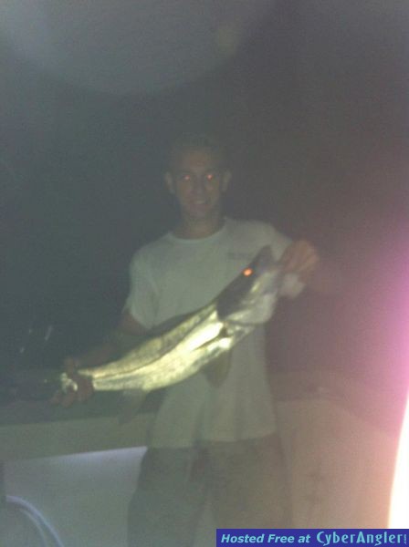 Government Cut Snook