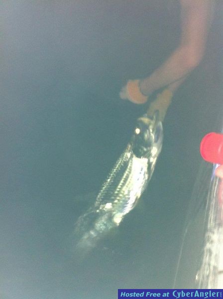 Eric's First Tarpon