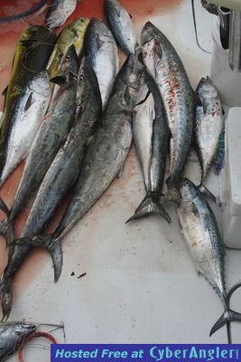 Click to Enlarge Photo