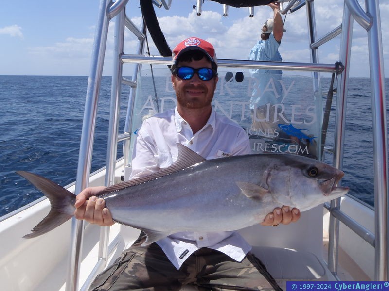 fish_038