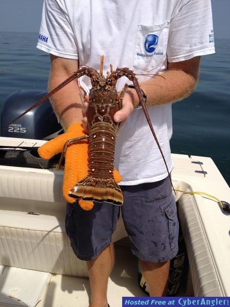 Lobster Mini Season Marathon Florida Keys