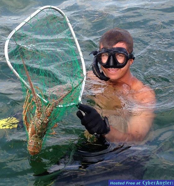 Lobster Mini Season Marathon Florida Keys