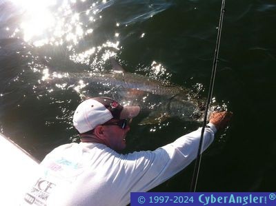 Click to Enlarge Photo