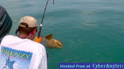 Click to Enlarge Photo