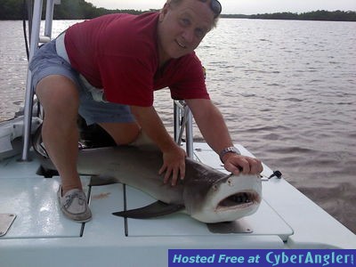 Lemon Shark July 2012 naplesfishing.com