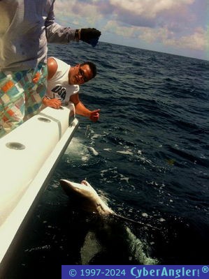 Click to Enlarge Photo