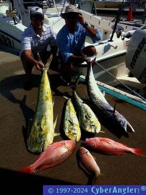 Click to Enlarge Photo