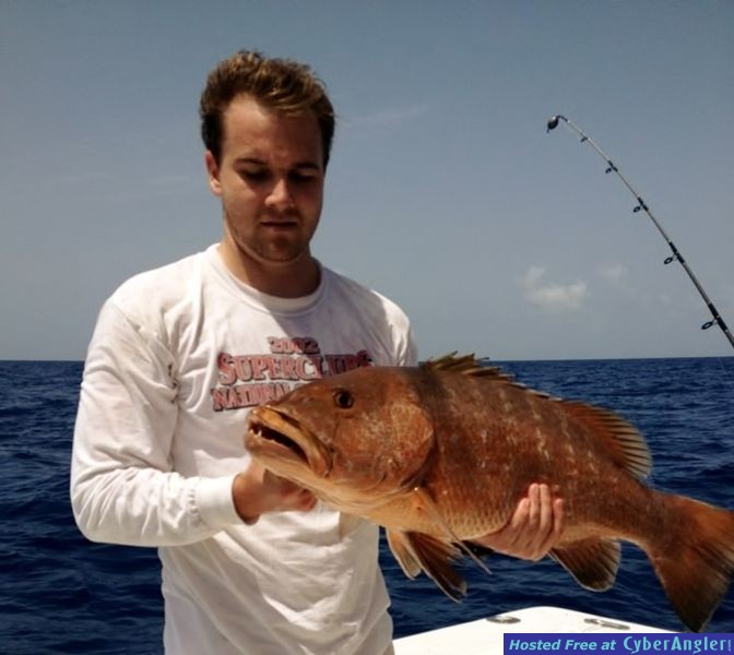 Cubera Snapper