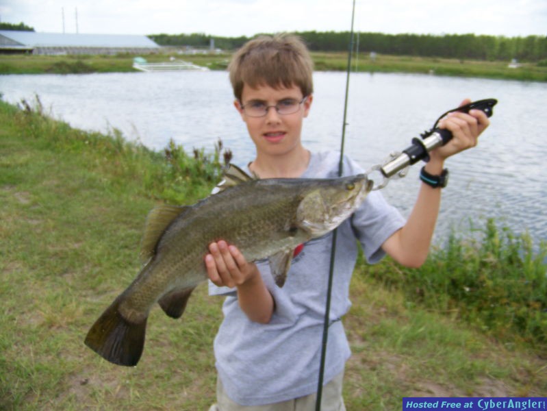Barrimundi - the Australian Snook