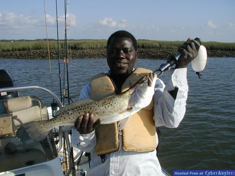 gator trout