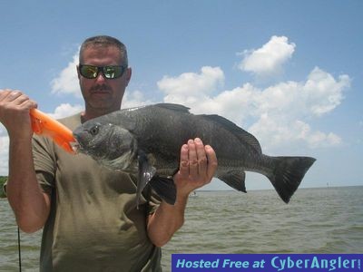 Click to Enlarge Photo