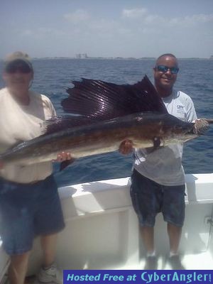 lenny sailfish 2