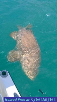 Click to Enlarge Photo