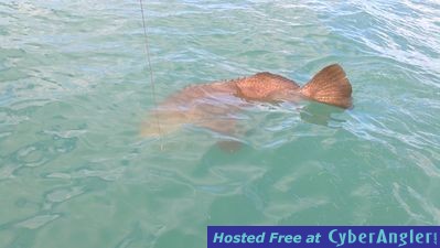 Click to Enlarge Photo