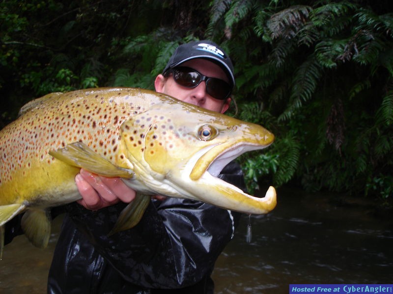 MILES RUSHMER GUIDING NEW ZEALAND