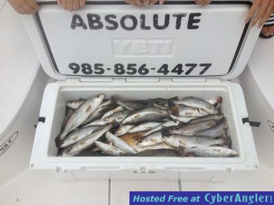 Click to Enlarge Photo