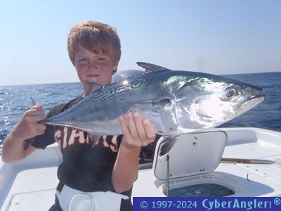 Click to Enlarge Photo