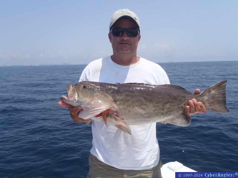 Click to Enlarge Photo