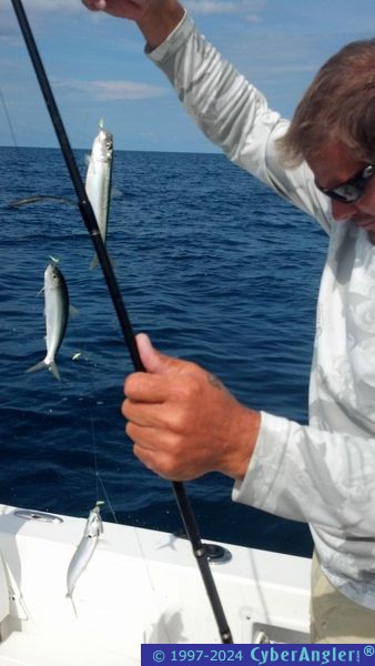 Click to Enlarge Photo