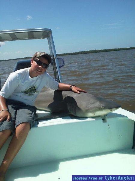 August_shark_-_Johnny