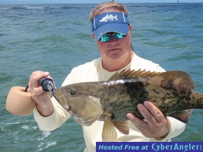 Gag grouper Tampa