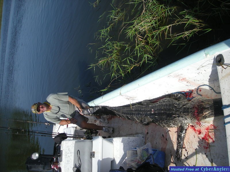 Florida Gator Hunting