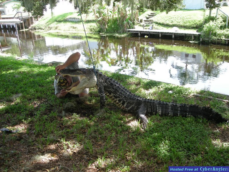 Florida Gator Hunting