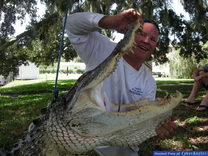 Florida Gator Hunting