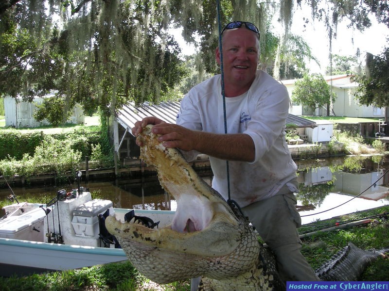 Florida Gator Hunting