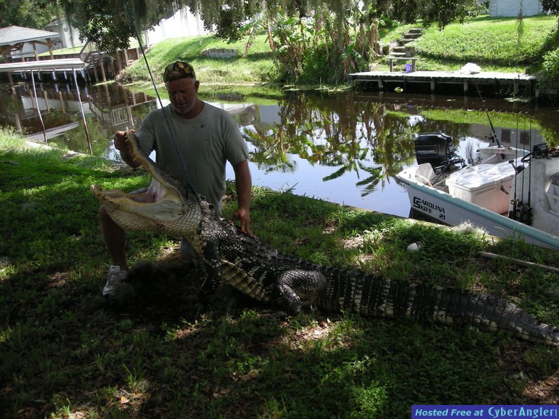 Florida Gator Hunting