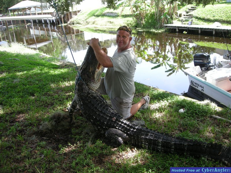 Florida Gator Hunting