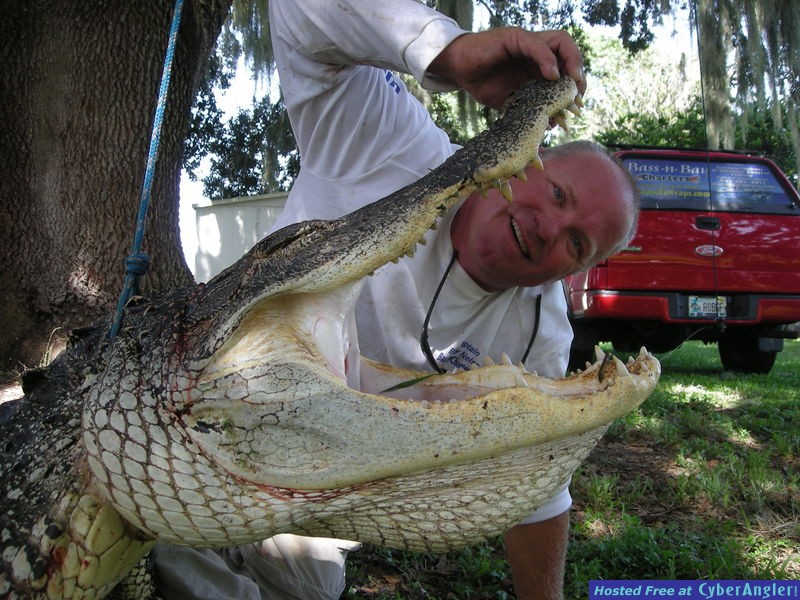 Florida Gator Hunting