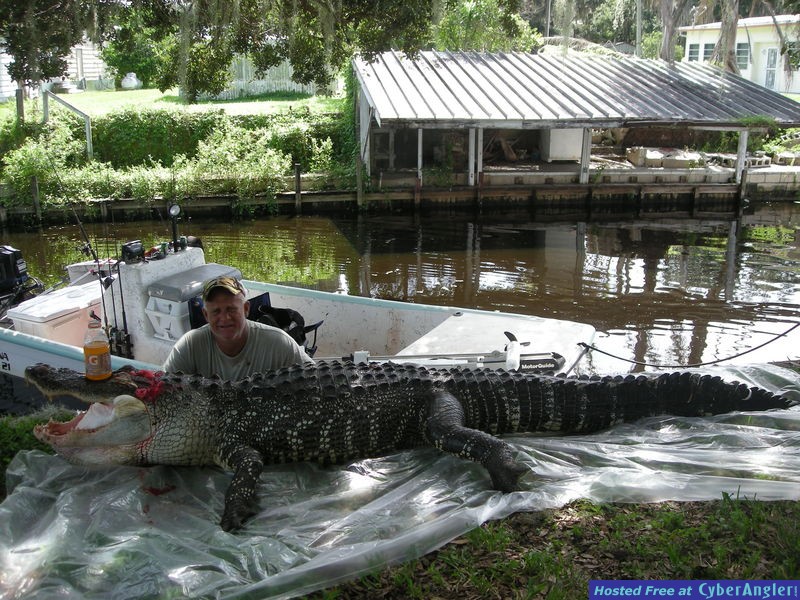 Florida Gator Hunting