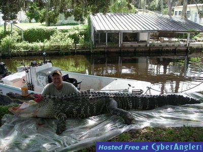 Florida Gator Hunting